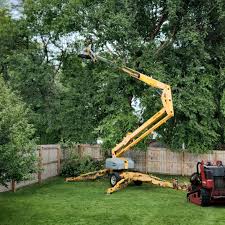 Best Hedge Trimming  in , ID